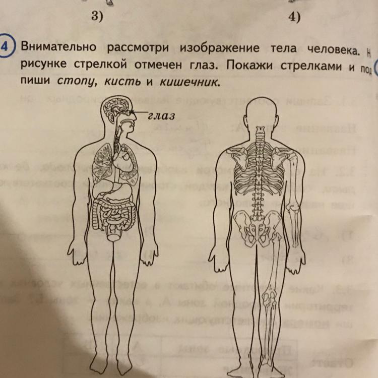 Рассмотрите Фотографию Для Иллюстрации Какой Формы